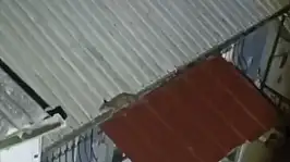 Yolunu şaşırdı evin çatısına çıktı! Vatandaşlar harekete geçti