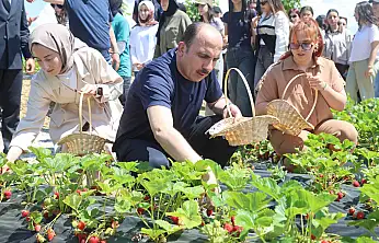 31 ilçede başvurular başlıyor! Konya'da çiftçiye yüzde 75 hibe