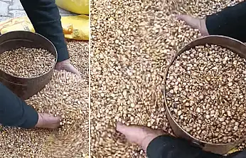 Ne eksik ne fazla! Bu yöntemle Konya'nın yüzyıllardır veremediği hesap yok