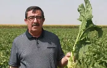 Başkan Bestil'den şeker fiyatına sert tepki: '42 liranın altı kurtarmaz'