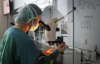 Bilimle büyüyen umut: Konya'da tüp bebekte 5 yıllık başarı