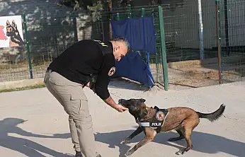 'Bulunmaz' denilen zulalar Konya'daki bu burunlardan kaçamıyor