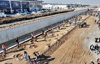 Engeller Konya'da aşıldı: Öğrenciler geleceğe fidan bıraktı