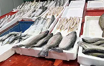 Geç soğuyan havalar Konya balıkçısını zorluyor