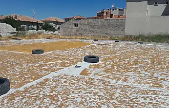 Hasat bitti, şimdi kazanlar kaynıyor! Konya'da günler süren telaş başladı