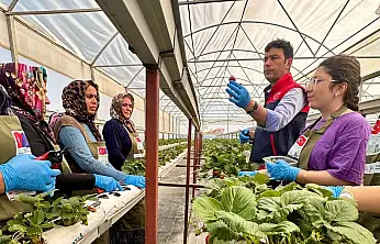 INSURE Projesi Konya'da meyvesini verdi: Eğitimler istihdama dönüştü
