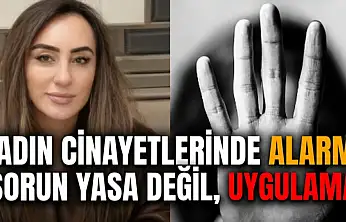 Kadın cinayetlerinde alarm: 'Sorun yasa değil, uygulama'