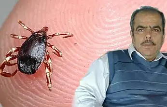 Kene kabusu Konya'da can aldı