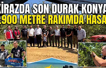 Kirazda son durak Konya!  Bin 900 metre rakımda hasat
