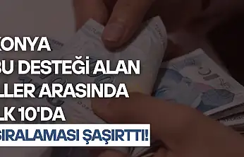 Konya bu desteği alan iller arasında ilk 10'da: Sıralaması şaşırttı!