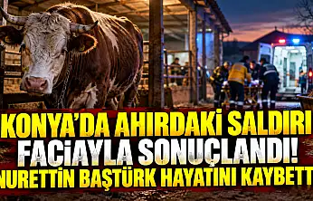 Konya'da ahırdaki saldırı faciayla sonuçlandı! Nurettin Baştürk hayatını kaybetti