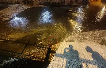 Konya'da akşam saatlerinde ortaya çıktı! Görenler telefonuna sarıldı