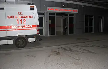 Konya'da anne ve oğlu hastanelik oldu
