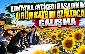 Konya'da ayçiçeği hasadında ürün kaybını azaltacak çalışma