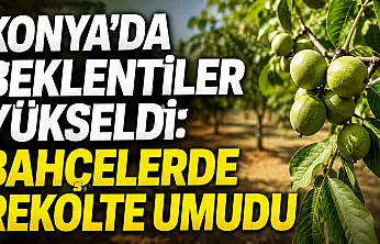 Konya'da beklentiler yükseldi: Bahçelerde rekolte umudu