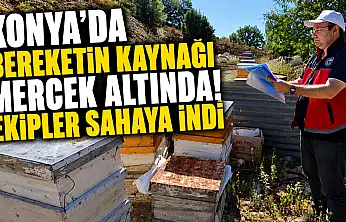 Konya'da bereketin kaynağı mercek altında! Ekipler sahaya indi