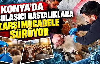 Konya'da bulaşıcı hastalıklara karşı mücadele sürüyor