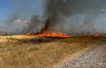 Konya'da çiftçilere ve vatandaşlara hayati uyarı: Herkes o hatayı yapıyor!