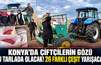 Konya'da çiftçilerin gözü bu tarlada olacak! 26 farklı çeşit yarışacak
