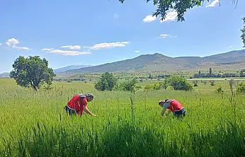 Konya'da çiftçinin gözü bu çalışmada