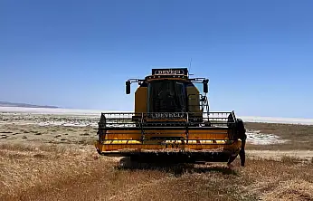 Konya'da çiftçinin gözü kulağı bu hasatta