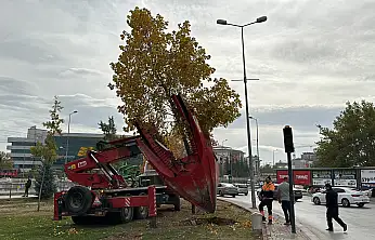 Konya'da dev proje için tek bir ağaca bile kıymadılar