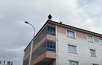 Konya'da Emniyet Müdürü'nden hayat kurtaran müdahale