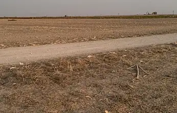 Konya'da eski eşini öldüren caniye acıma yok!