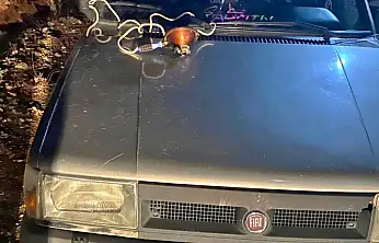 Konya'da far avı yapanlara rekor ceza!