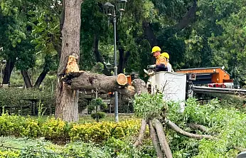 Konya'da fırtına tramvay ulaşımını vurdu: Ağaç katener hattına devrildi