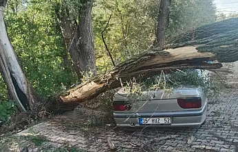 Konya'da fırtına yıktı geçti!
