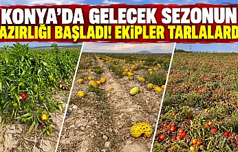 Konya'da gelecek sezonun hazırlığı başladı! Ekipler tarlalarda