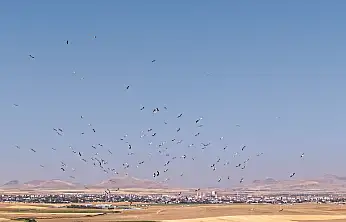 Konya'da gökyüzünde görsel şölen!