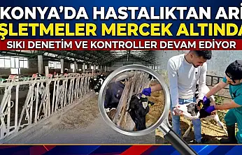 Konya'da hastalıktan ari işletmeler mercek altında