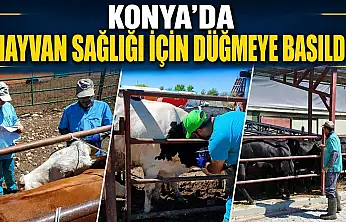 Konya'da hayvan sağlığı için düğmeye basıldı