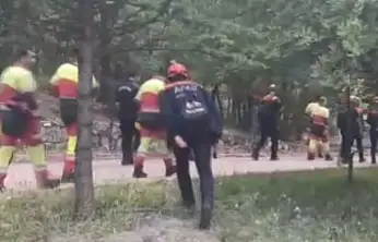 Konya'da hayvanlarını otlatan kadın kayboldu: Her yerde aranıyor!