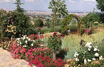 Konya'da huzur arayanların yeni değil vazgeçilmez adresi