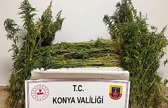 Konya'da jandarmadan peş peşe 59 operasyon! 7 tutuklama