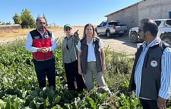 Konya'da kadınların üretim gücü için sahaya çıkıldı