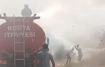 Konya'da kamış deposu alevlere teslim oldu!