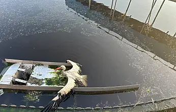 Konya'da kanal içinde mahsur kaldı! Ekipler seferber oldu