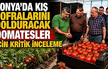 Konya'da kış sofralarını dolduracak domatesler için kritik inceleme