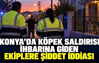 Konya'da köpek saldırısı ihbarına giden ekiplere şiddet iddiası