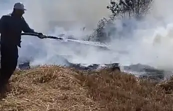 Konya'da korkutan yangın! Sazlıkta başladı, ormanlık alana sıçradı