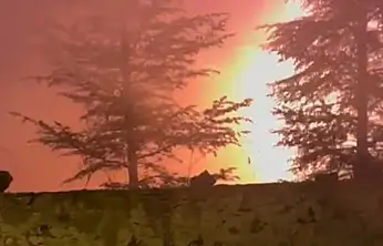 Konya'da korkutan yangın!