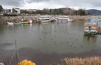 Konya'da kuraklık kabusu sona mı eriyor? Sevindiren manzara