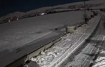 Konya'da kurtlar şehir merkezine yaklaştı