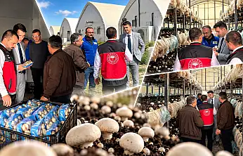Konya'da mantar üretimi mercek altında! Tesisler tek tek incelendi