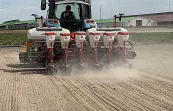 Konya'da mısıra güçlü alternatif: Az suyla yüksek verim