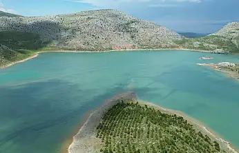 Konya'da mucize: Tamamen kurumuştu, şimdi görenler hayran kalıyor